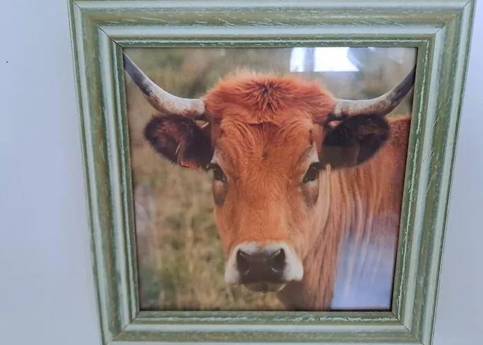 아파트 Agreable T2 Classe 3 Etoiles, Refait A Neuf, Dans Quartier Calme 로데즈