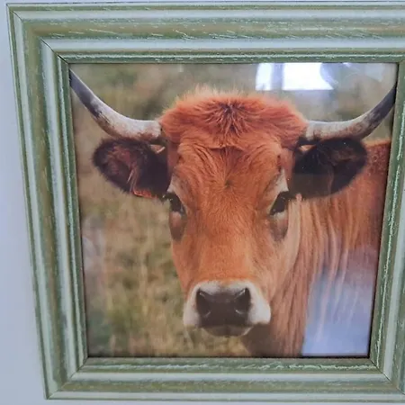 Διαμέρισμα Agreable T2 Classe 3 Etoiles, Refait A Neuf, Dans Quartier Calme Ροντέζ